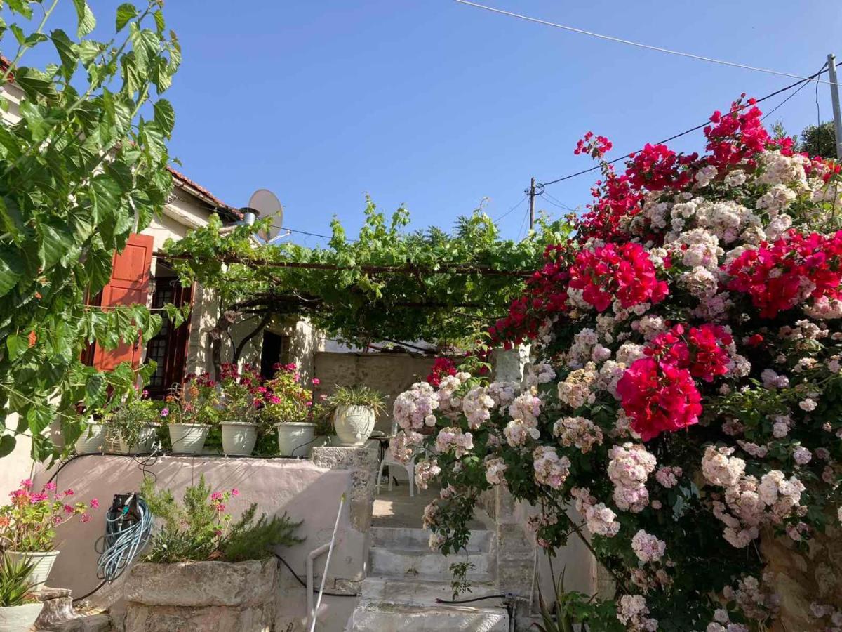 Sergios Village House Chania  ภายนอก รูปภาพ